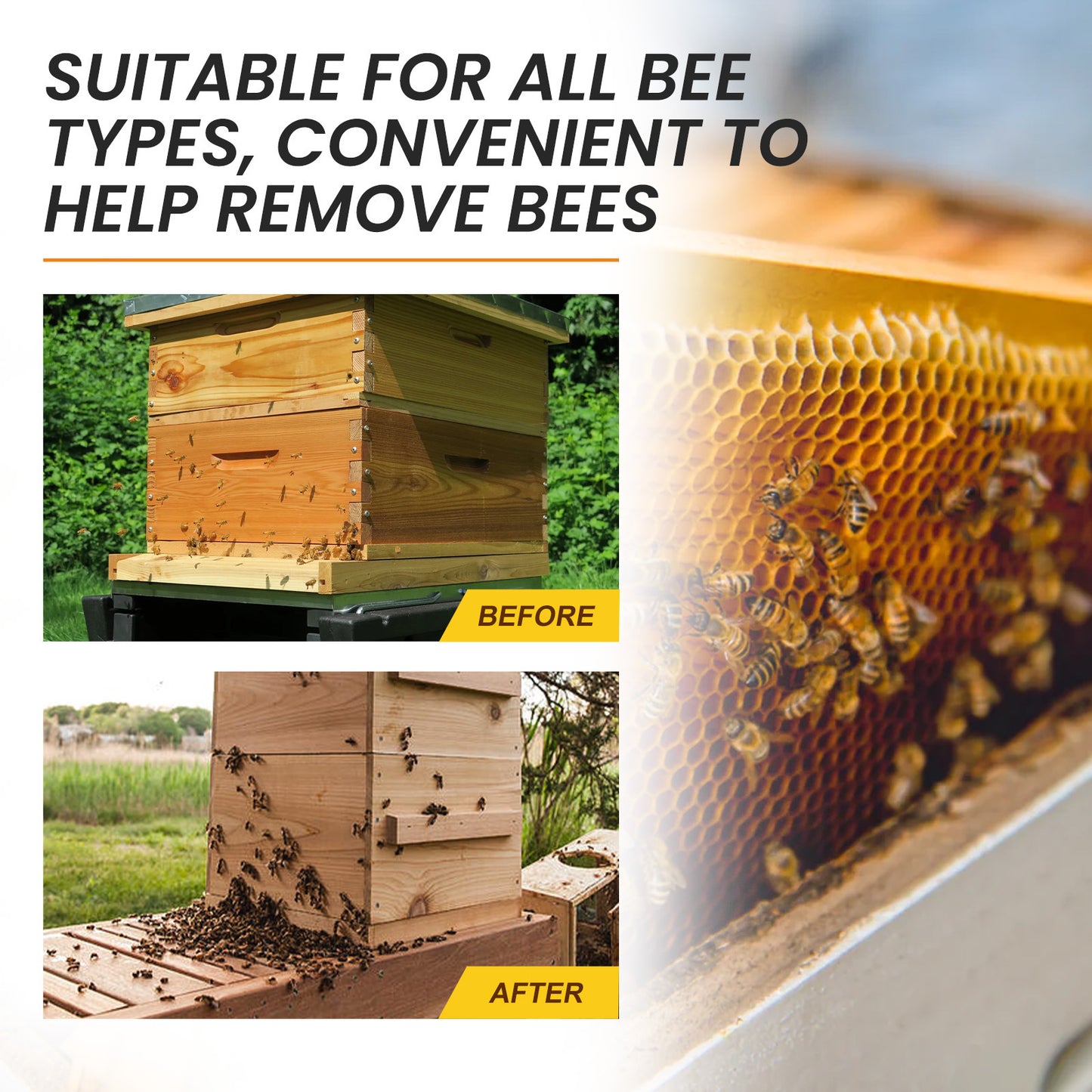 Bee Attractant for Gardening & Agriculture – Natural Pollinator Booster for Flowers, Fruits & Crops