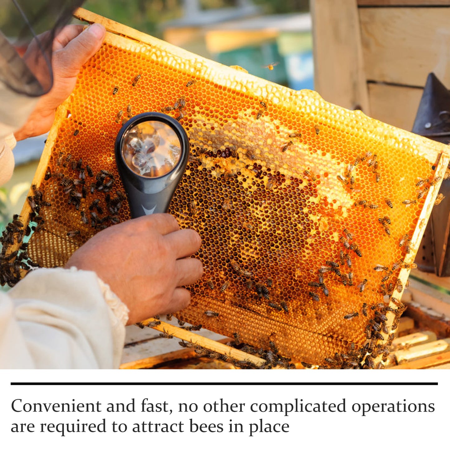 Bee Attractant for Gardening & Agriculture – Natural Pollinator Booster for Flowers, Fruits & Crops