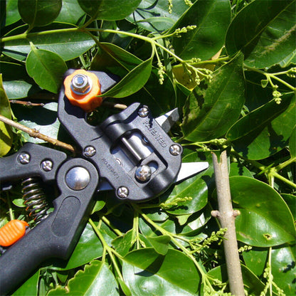 Grafting Shears for Gardening – Precision Pruning Tool for Plants and Trees
